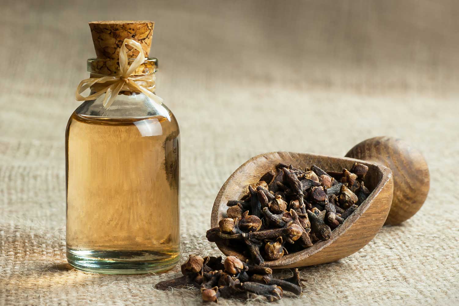 Clove Oil in Painting