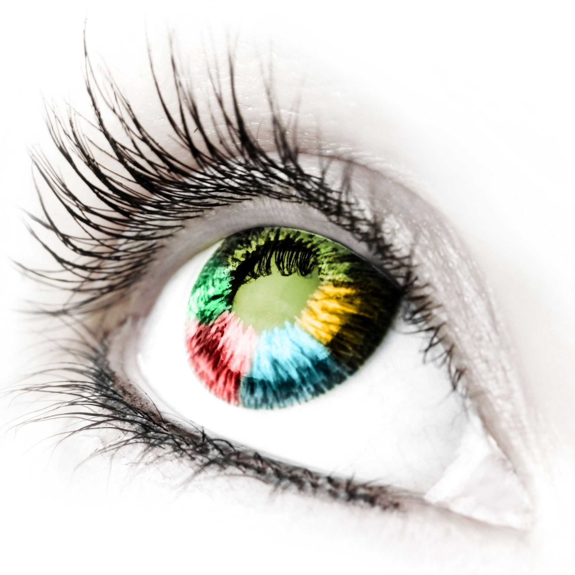 How Human Vision and Perception Affect Our View of Colors