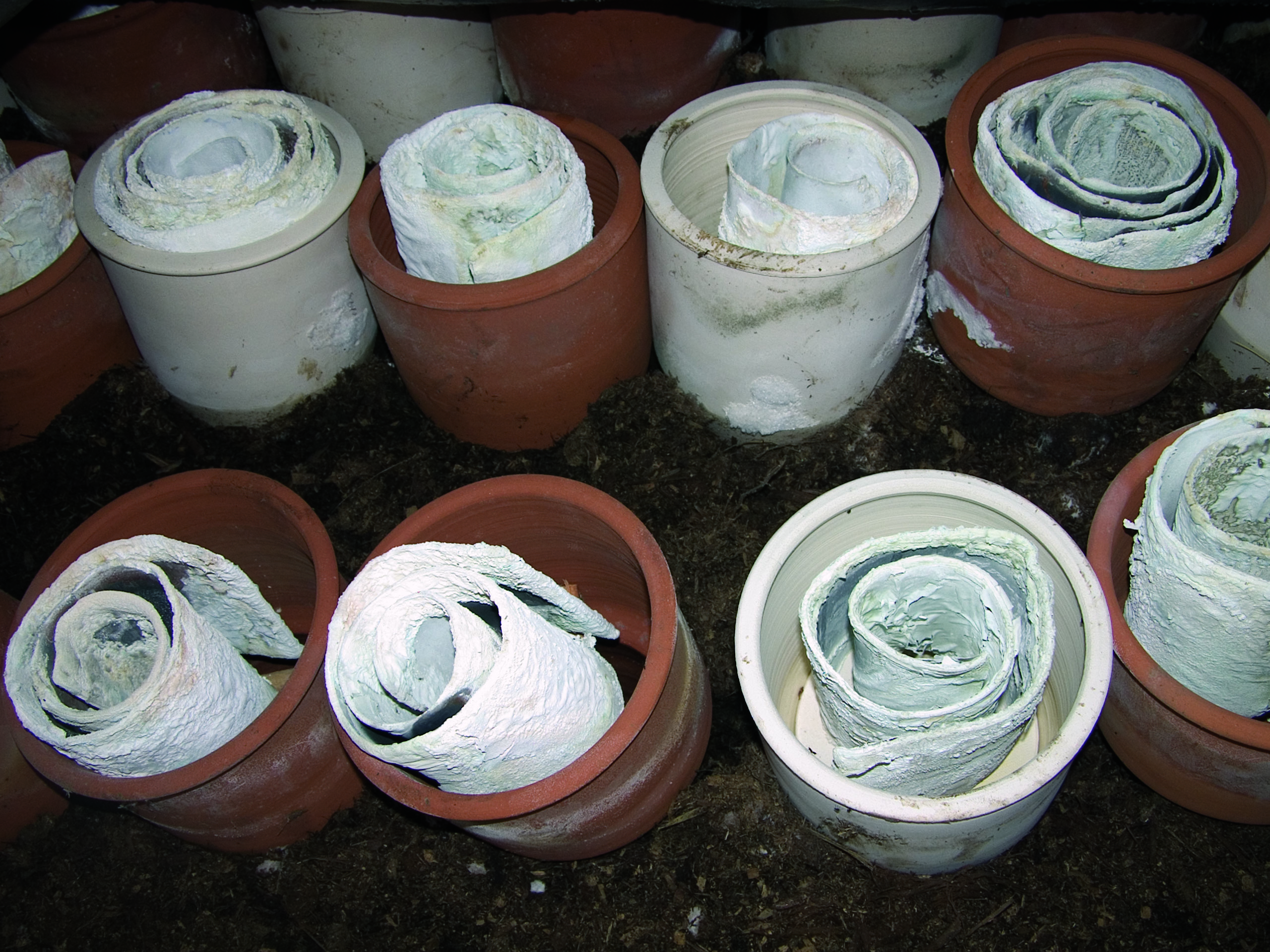 Lead white is the most important white pigment used in painting throughout history.